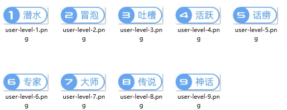 图片[11]-最全的用户等级与vip图标素材合集-苏晨博客