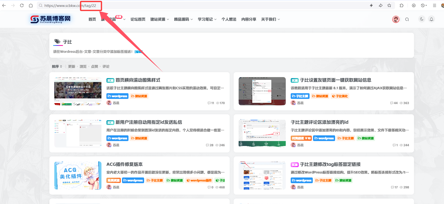 图片[1]-子比主题修改tag标签固定链接-苏晨博客
