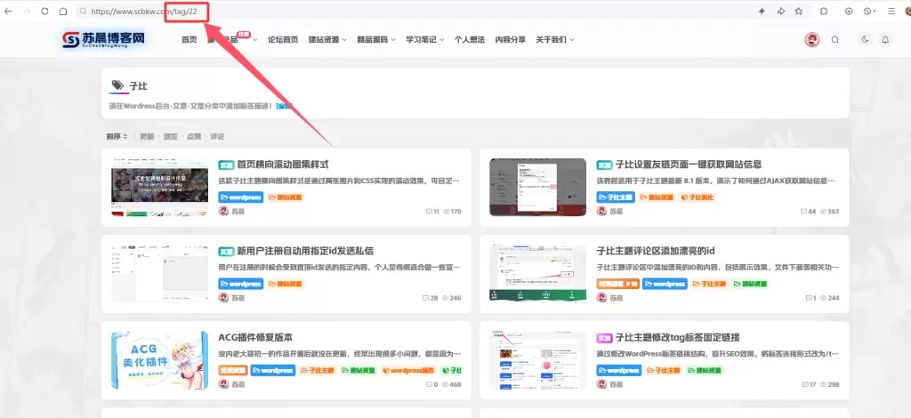 图片[1]-子比主题修改tag标签固定链接-苏晨博客